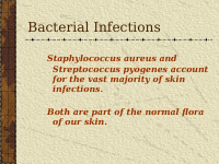 bacterial infections-2.pptx